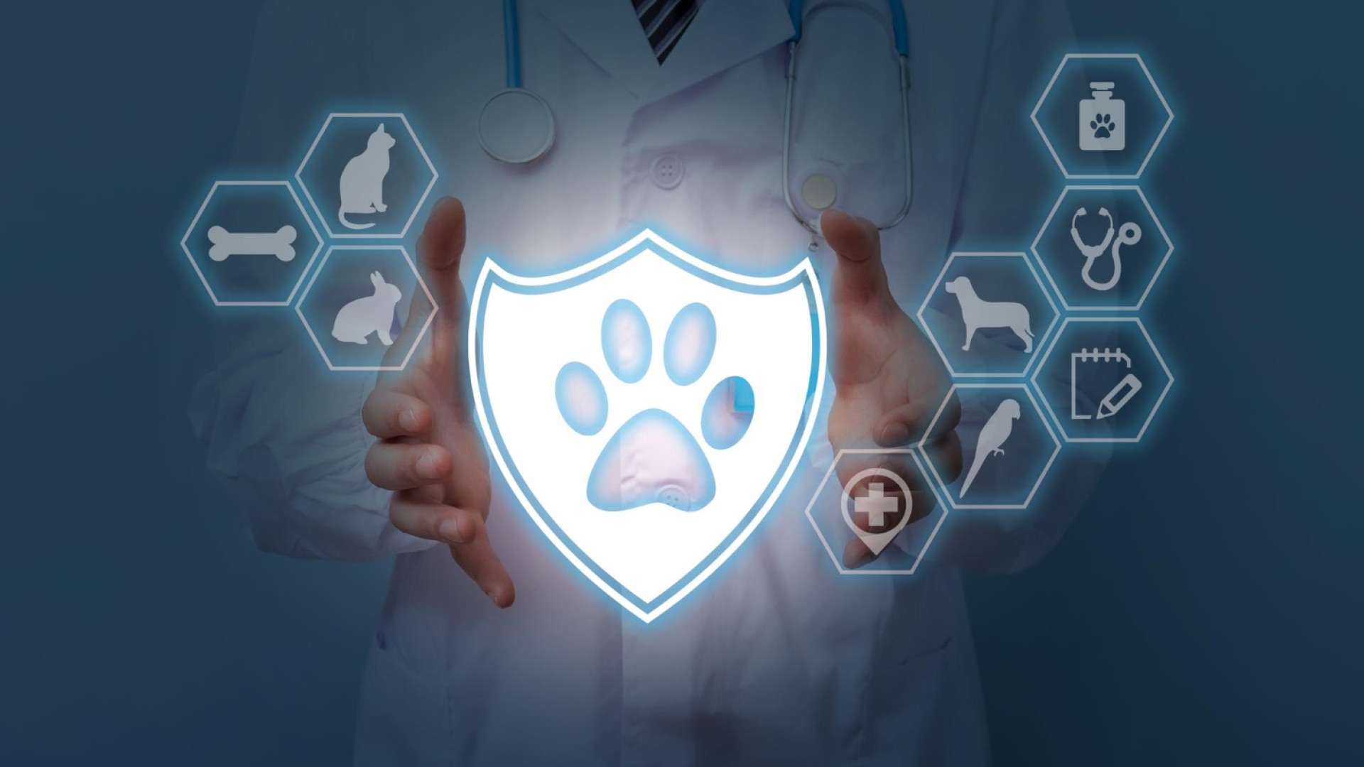 Assurer un chien de catégorie 2 : conseils pour une couverture optimale