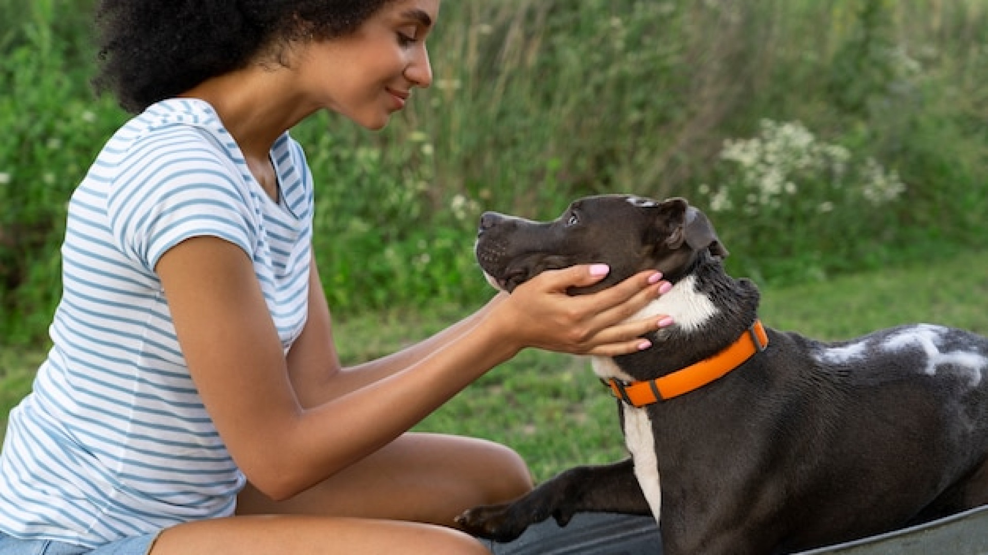 Assurer son animal : conseils pour protéger sa santé sans se ruiner