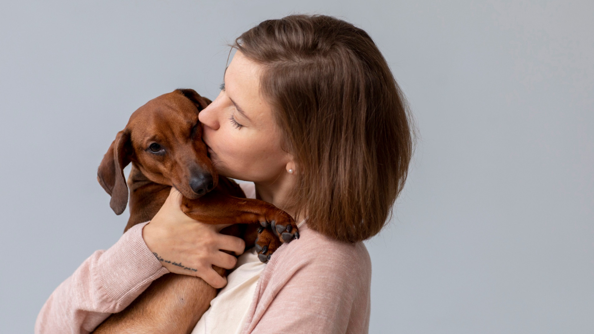 Comment choisir la meilleure assurance santé pour votre animal de compagnie ?
