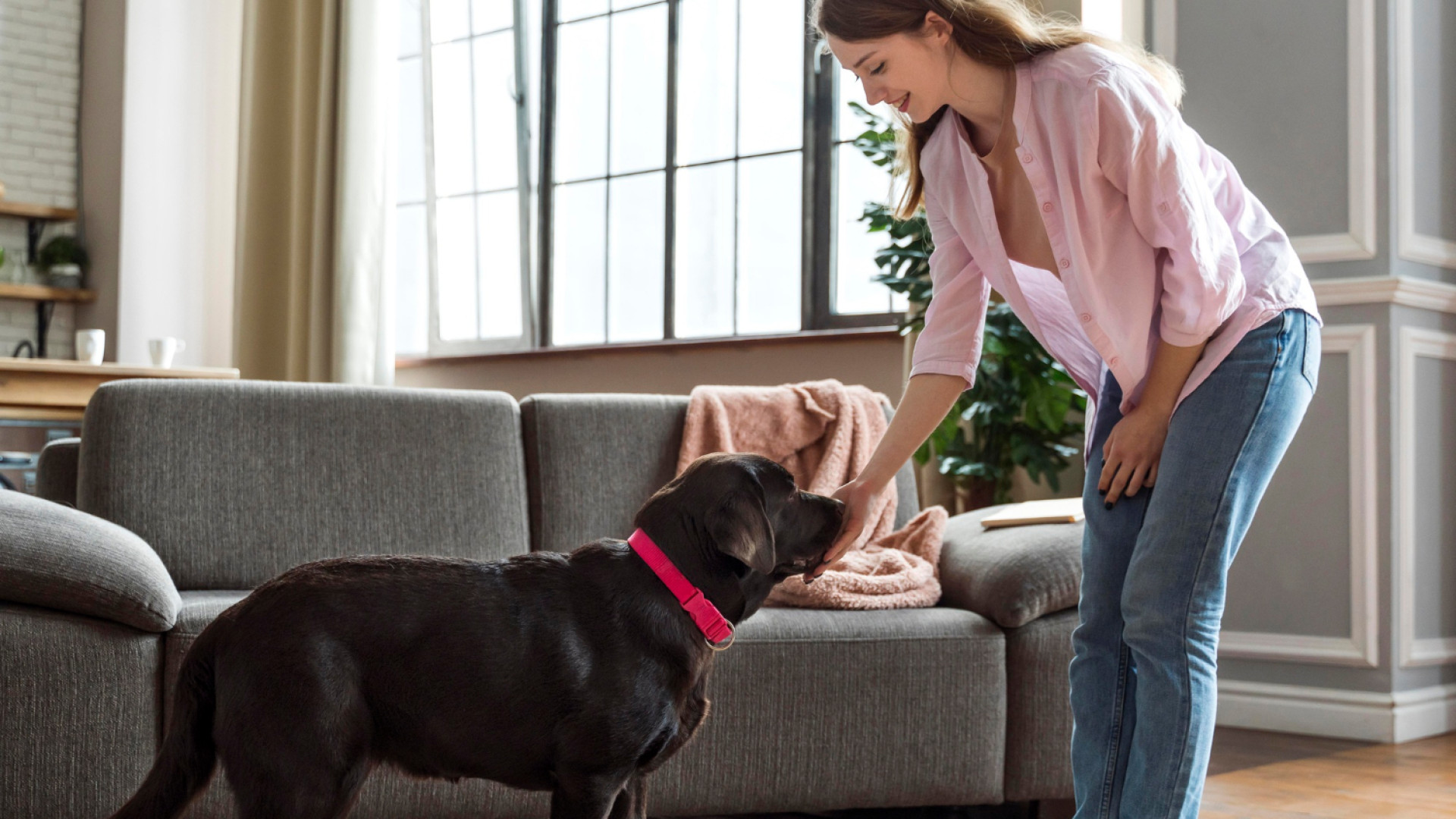 Home-sitting : une alternative à la pension canine pour votre compagnon