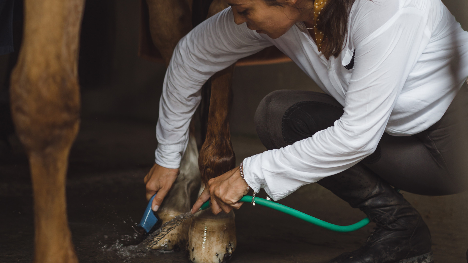 Huile de cade cheval : un atout naturel pour l’entretien des sabots